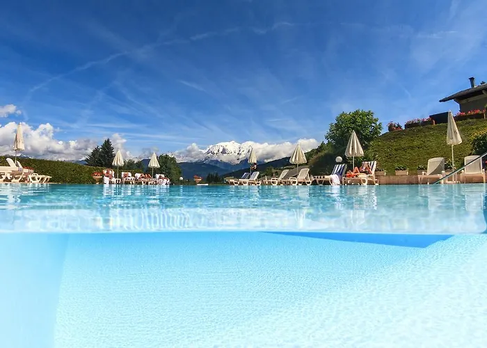 Aux Ducs De Savoie Hotel 4*